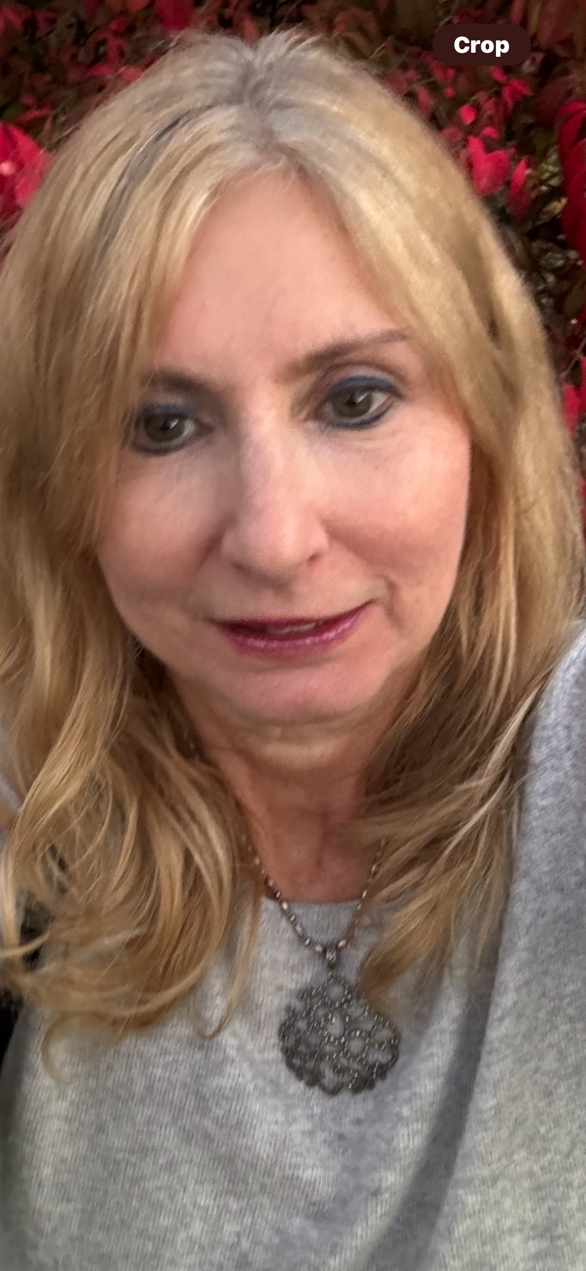 Lisa Quercetti - Health-E Insights team member